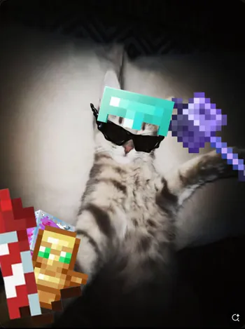 Kadoo15