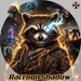 Raccoon_shadow