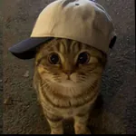 Its_IMS