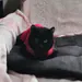 og-sushi