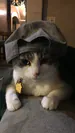 hollowdarkx