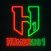 hUmerus1