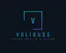 VoliGuss