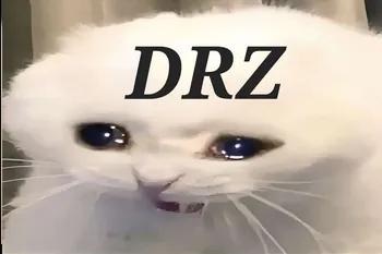 DRZonTOP