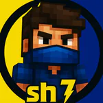 hamed-sh7