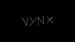 Vynx27