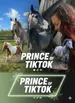 PrinceOfTiktok