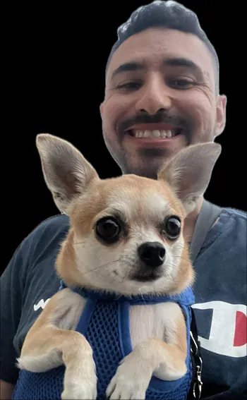 Seguezi