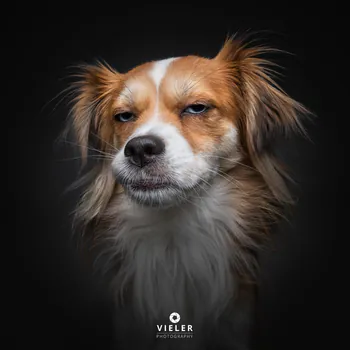 Kick profile picture for @maro