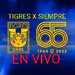 tigresxsiempre1 Kick Profile Picture