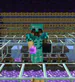 xenonvte