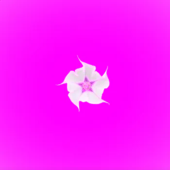 JetciApo57