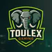toulexgamingpk