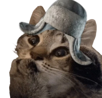 Titanium_Fox