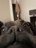 Luchozzzero