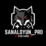 SanalOyun_Pro