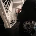 FreeTays