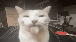 Zaucts
