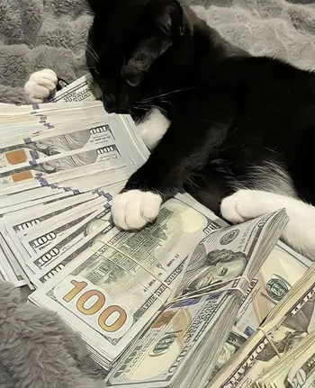 aleksef