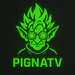 PignaTV