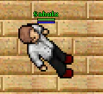 sahulx avatar