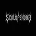sscalopendra