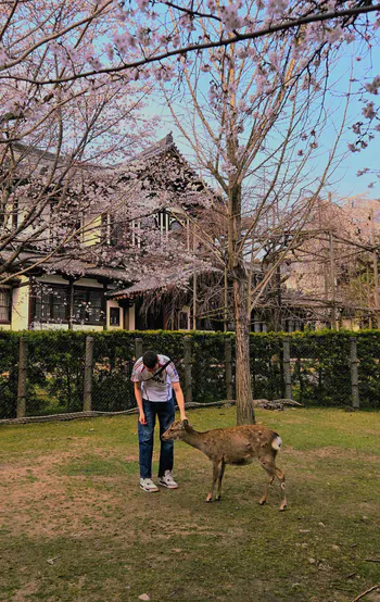 TorcidaRYU