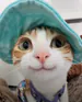 lucyymon2