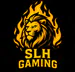slhgaming96