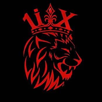 1MoraniX