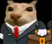 FAFIN11