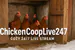 chickencooplive247