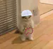 katikedi