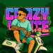 CrazyVice