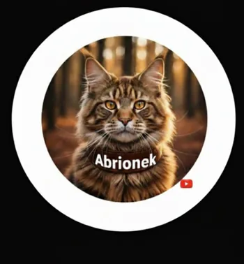 Abrionekk