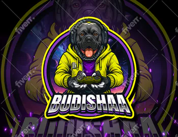 budishaa