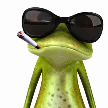 DvNnAlex