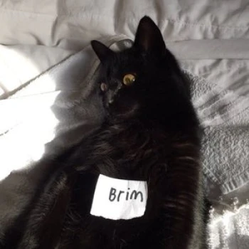 briim