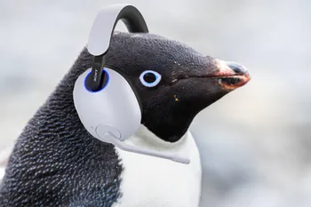 DonPengu_VT