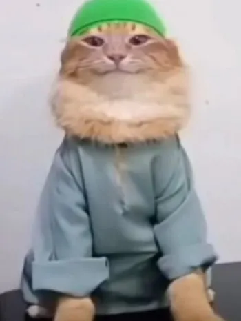 foowdan