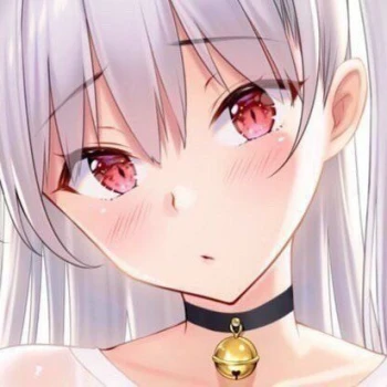 sekiz