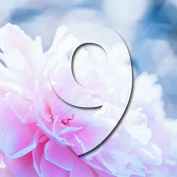 9uka