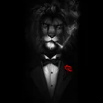 7kayde avatar