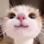 mishitogod