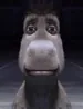 xnomsii
