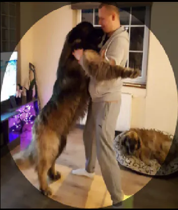 Tutiv_91