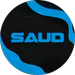 saudI20I