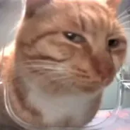 Pekuliar