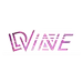 DVinecs2