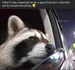PawsOfPenance